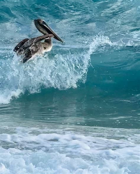 Shannah Laumeister (@shannahstern) • Instagram photos and videos