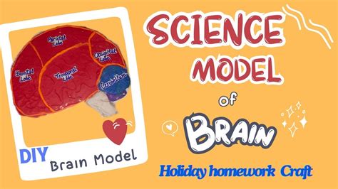 DIY Brain Model Projects 的图像结果