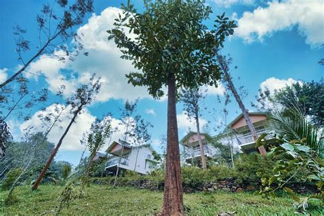 JUNGLE BAY RESORTS & SPA (Irulam) - Resort Reviews, Photos, Rate ...