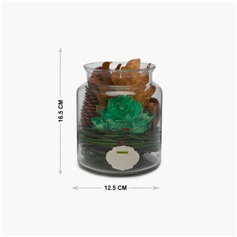 Buy Redolence-Medley Earthen Secrets Scented Potpourri from Home Centre ...