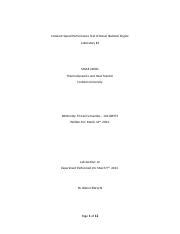 Constant Speed Test 的图像结果