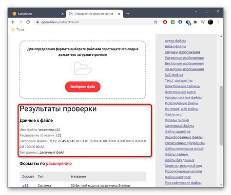 Check File Format 的图像结果