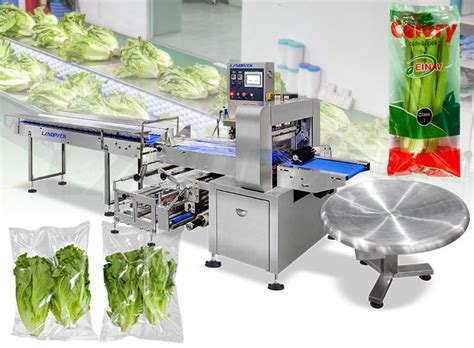 Image result for Vegetable Packing Machine