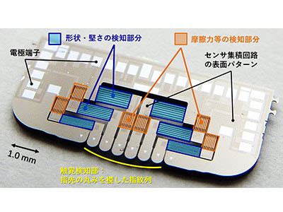 Image result for JavaBean Sample