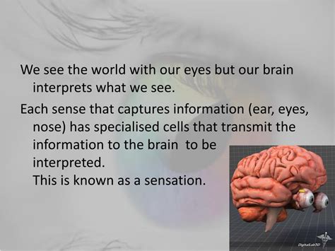 Perception 的图像结果