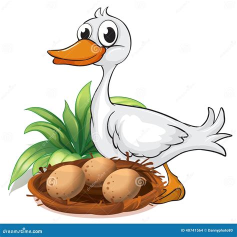 A duck beside her nest stock vector. Illustration of greenery - 40741564