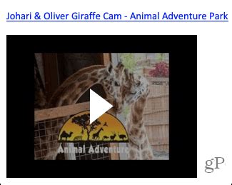 Image result for Insert Video into OneNote