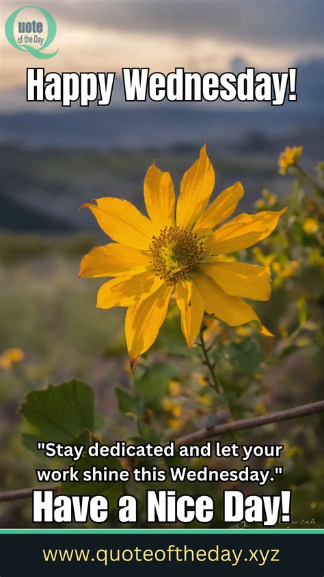 40 Wednesday Morning Motivational Quotes for Work with Images