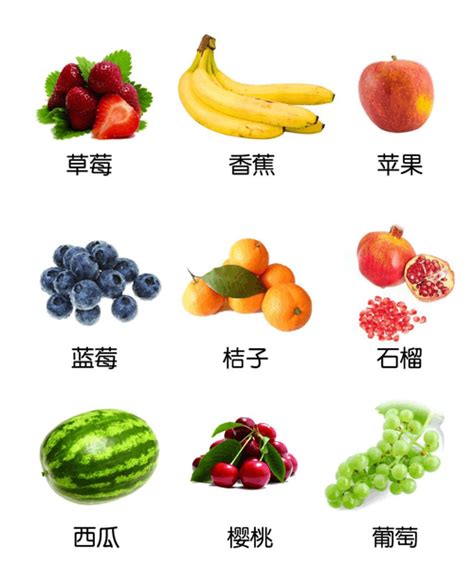 热带水果的名字及图片,70种水果图片大全名称,100种奇特的水果名称_大山谷图库