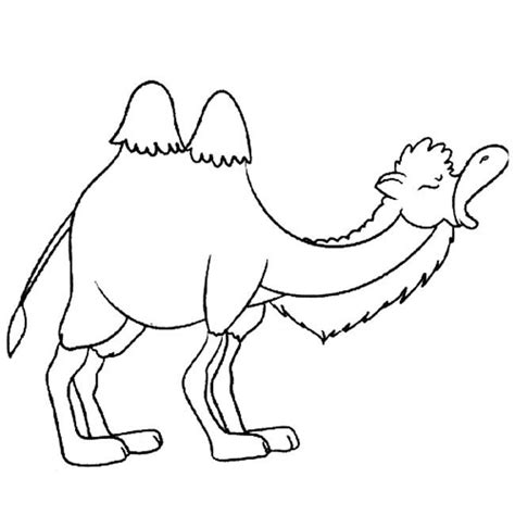 双峰骆驼动物简笔画步骤图片大全三-儿童简笔画大全