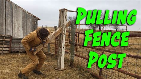 Image result for How to Pull Posts