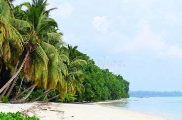 8 Days 7 Nights Port Blair Tour Package by Great Voyage | port blair ...