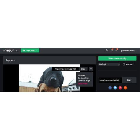 16 Best Imgur Alternatives - Reviews, Features, Pros & Cons - Alternative.me