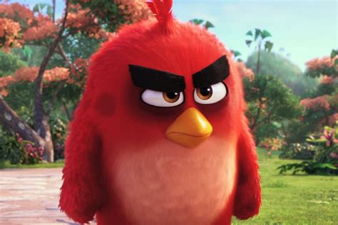 Angry Birds Red HD Desktop Wallpaper 26055 - Baltana