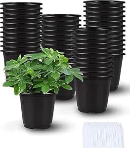 Greenursery 50 Pcs Round Black Plastic Flower Pots for Indoor Plants (4 ...