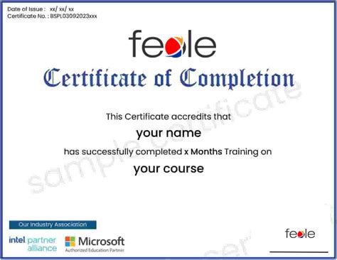 Training : Fexle Infotech provide various type of course like website ...