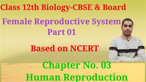 Image result for Female Reproductive System Class 12
