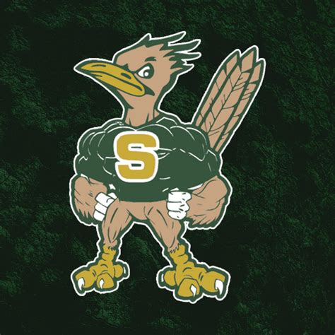 Saddleback High School Roadrunners Athletics Calendar | Saddleback High School (Santa Ana, CA)