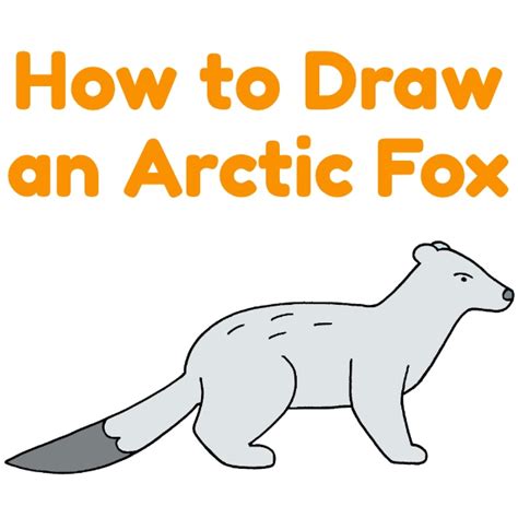 Image result for Arctic Fox Drawing Tutorial