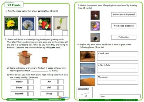 Image result for Class 2 Science Plant