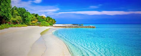 Image result for Weekend Project in HTML CSS JavaScript
