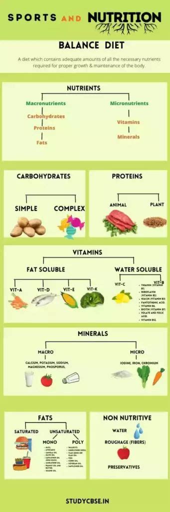 sports nutrition class 12 ppt