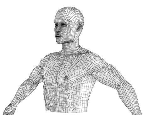 Brain Model 的图像结果