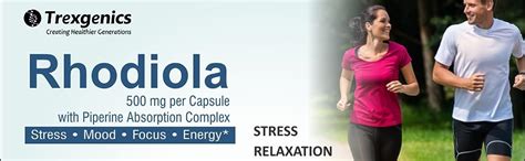 Buy Trexgenics Rhodiola Rosea Standardized 500mg Premium Adaptogen ...