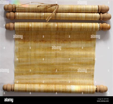 Papyrus Text 的图像结果