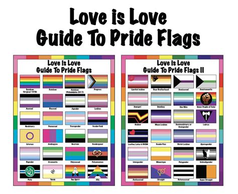 Love is Love Guide to Pride Flags 1 & 2 LGBTQ Flags LGBTQIA - Etsy UK