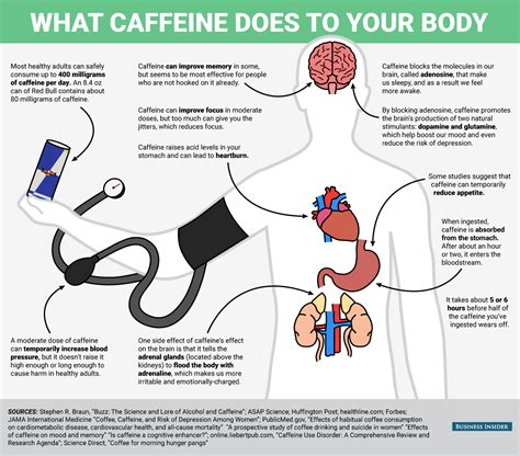 How caffeine affects the body - Business Insider