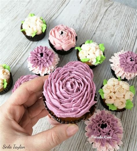 Ankara Kremalı Konsept Cupcake Çeşitleri » Pucake