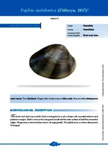 Paphia malabarica (Dillwyn, 1817)* - CMFRI Digital Repository