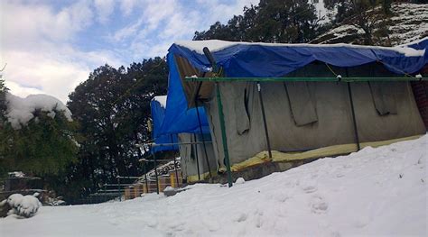 CAMP MEHI NATURE RESORT (Pangot, Uttarakhand) - Lodge Reviews, Photos ...