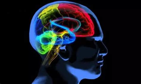 Study shows pattern of brain shrinkage varies between Alzheimer’s patients