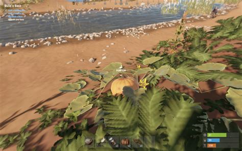 Image result for Water Barrel Rust Guide