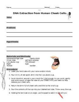 DNA Extraction Lab Report 的图像结果