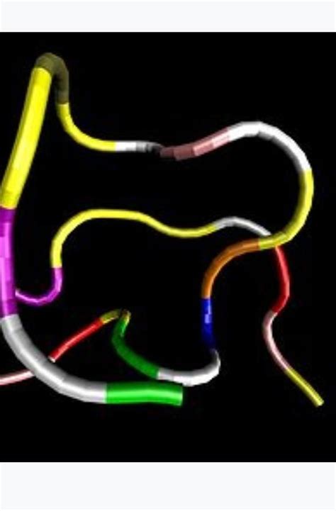 Name the harmone secreted by heart andvits nature and function ?? ️ ️ ...