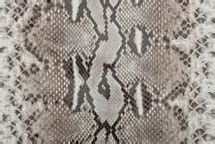 Image result for Embroider Python Skin