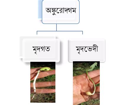 Image result for Class 8 Science Lesson 1