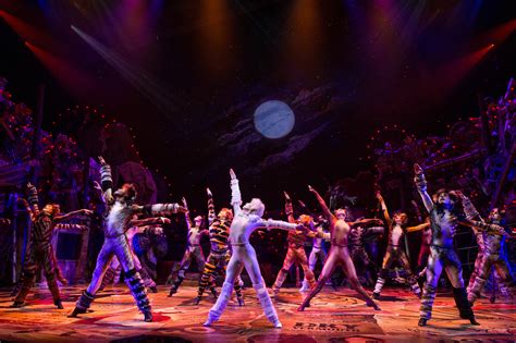 See How the Critics Greeted the Broadway Cats Revival | Playbill