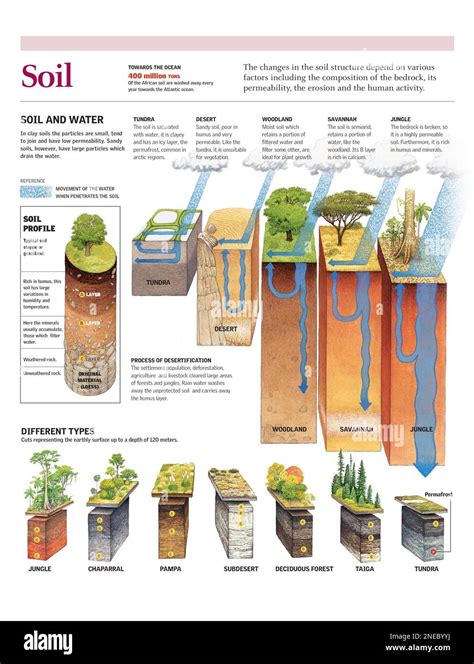 Soil Type Classification 的图像结果