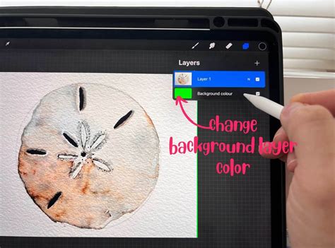 Image result for Remove Objects From Photo Procreate
