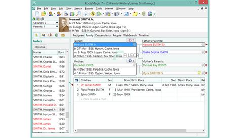 Image result for How to Use RootsMagic