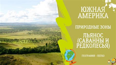 Южная Америка Природные Зоны. Саванны и Редколесья(Льянос и Кампос ...