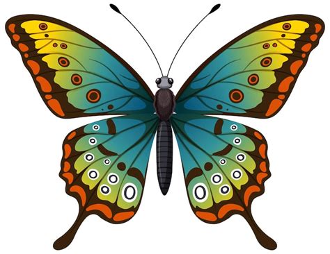Images de Papillon dessin – Téléchargement gratuit sur Freepik