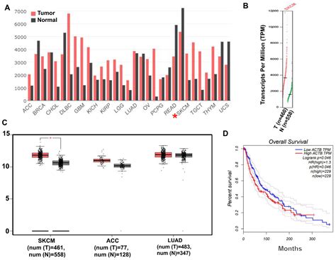 Salvianolic Acid B Significantly Suppresses the Migration of Melanoma ...