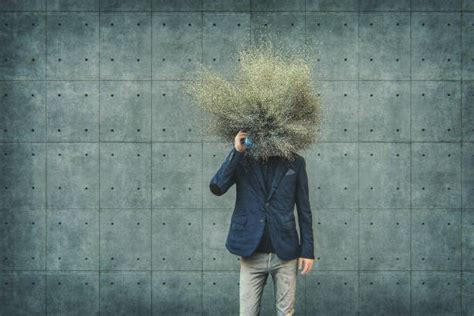 Head Exploded 的图像结果