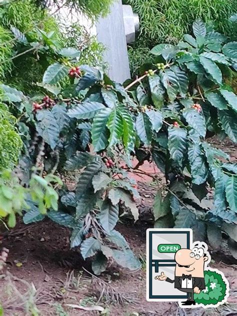 Menu at Coffee House, Araku Valley, Araku