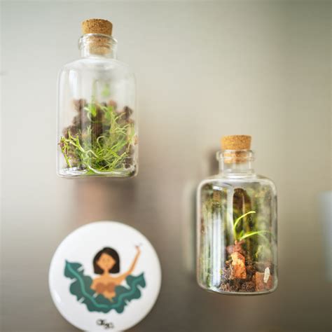 Terrarium Fridge Magnets – bytheleaf
